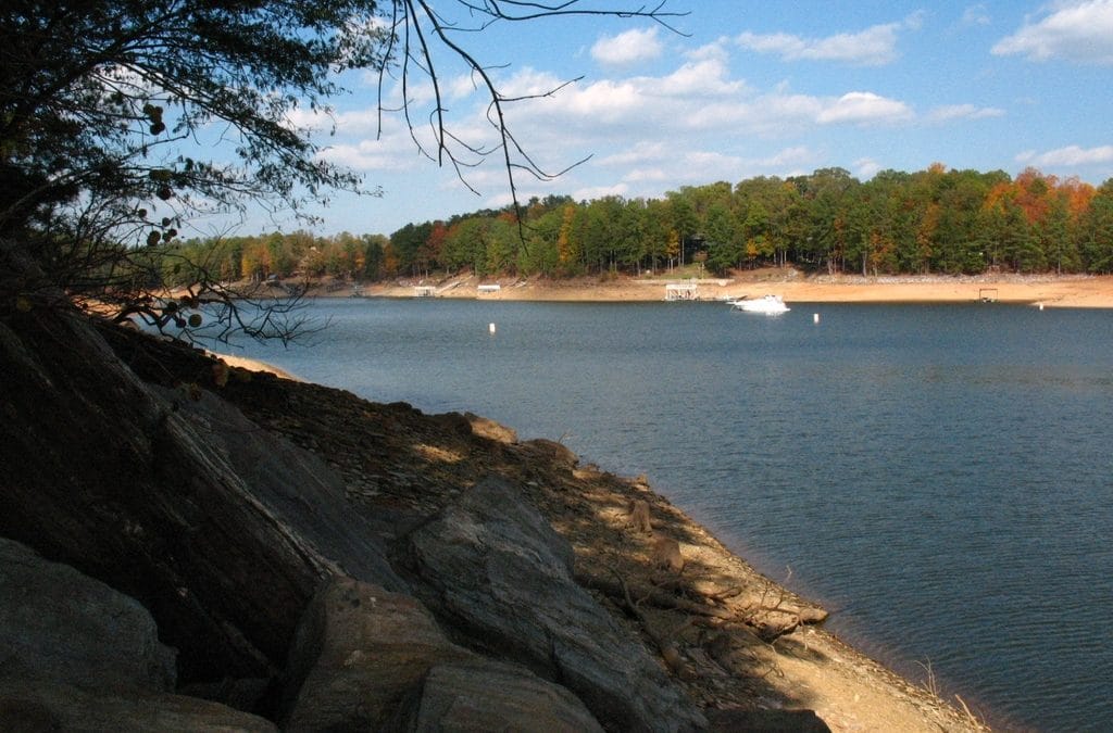 Tips for the Ultimate Day on Georgia's Lakes